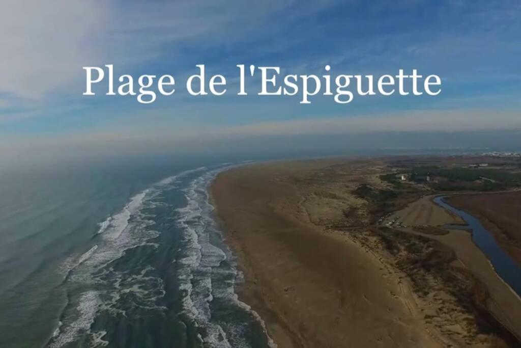 Grand Studio Au Grau-Du-Roi Proche Seaquarium Et Plage Le Grau-du-Roi Exterior photo